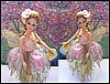 Fairy Rose 2005